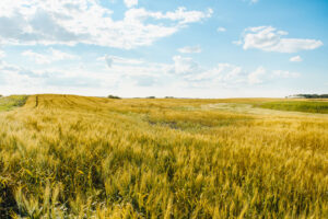 case-ih-hero-background